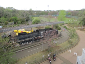 新鎌ヶ谷駅周辺　評判のパン店　ギャラリーとの出合い